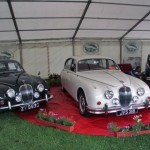 MKII Jaguars