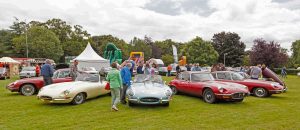 Jaguar E-types Ireland