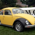 GSMC_Beetle