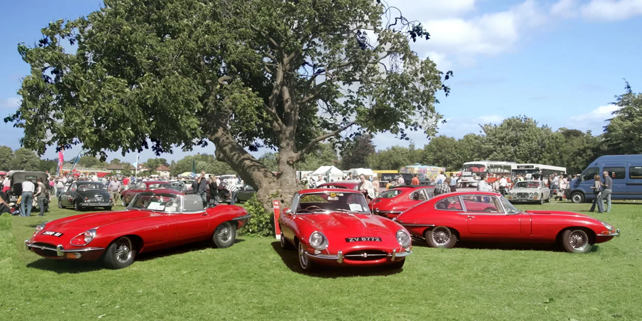 2023 Picnic in the Park