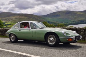 Willow Green Series III E type