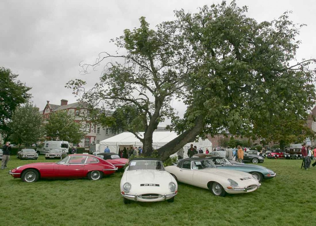 Jaguar_Etypes-Motor-Show-2012