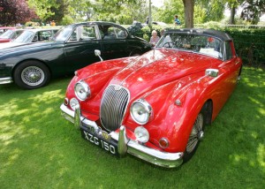 Terenure Show Jaguar XK150