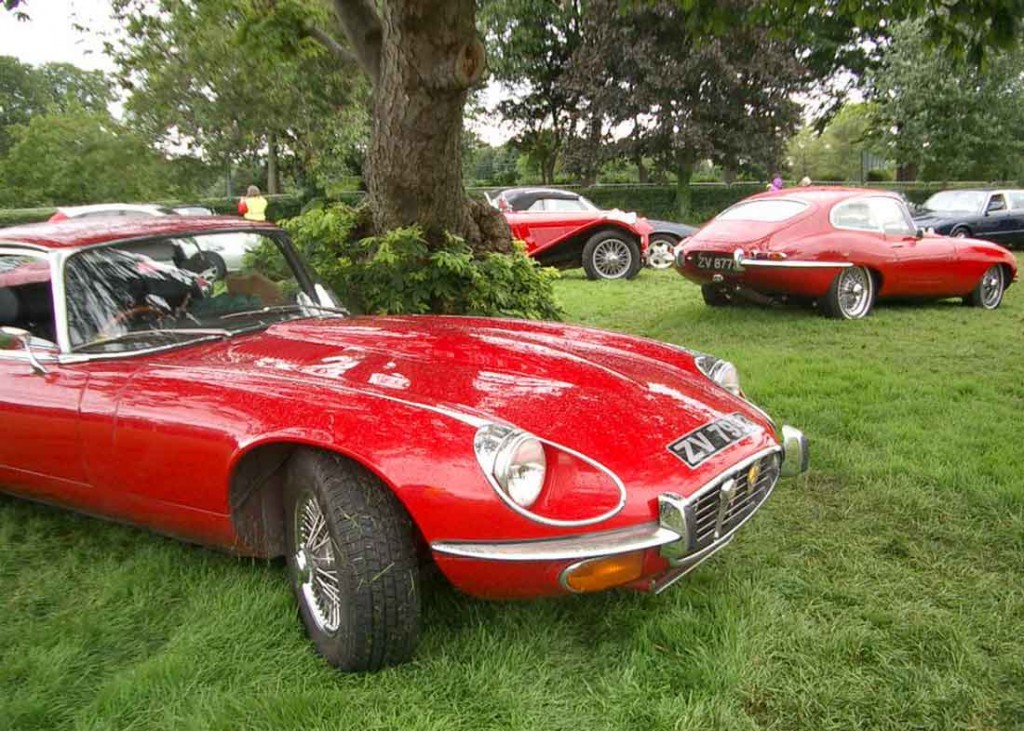 Terenure Ca rShow 2012 Etypes