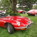 Terenure Ca rShow 2012 Etypes